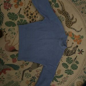 Alex Mill Button Back Blue Knit Sweater